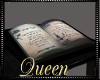 !Q Witches Spell Book