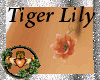 ~QI~ Tiger Lily Piercing