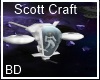 [BD] Scott Craft