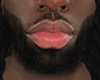 Asteri Beard #016