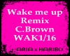 Wake me up Remix