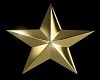 Gold Star Rug