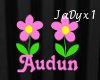Audun Name Sign