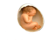 baby in eggshell