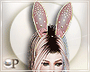 Tina Bunny