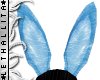 Baby Blue Bunny Ears