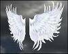 Animated White Wings