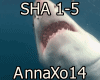 Shark + Sound