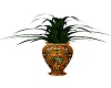 Native Plant 1