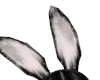 ! Animated Bunny Ears