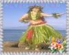 :A: Summertime Hula 4one