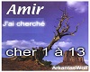 Amir - J'ai cherché