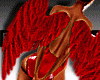 **Ster Wings Diabinha