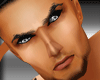 Stern Head 