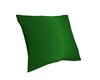 Green Satin Pillow