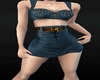 *GS conjunto temas*