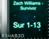 Zach Williams-Survivor