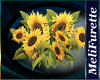 ~*SunFlowers plants