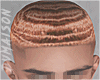 SALMON WAVES