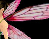 Rose Petal Wings
