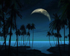 ~Paradise Night Animated