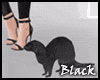 BLACK ferret