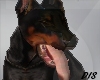 ™Doberman