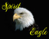 ~sp~Freedom Eagle