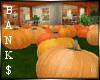 Realistic Pumpkin Patch