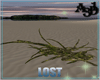 A3D* Dry Branches