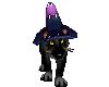 FV Witch's Black Cat