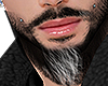 BEARD V3