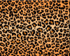 Leopard print jumpsuit