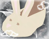 ♥ bunny slippers! ♥