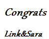 [SK]Link&Sara Banner