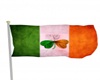 Flag Pole Ireland