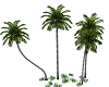 Palm trees #2
