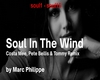 Soul In the wind (Remix)
