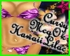 Sube Hawaii Lilac Bikini