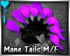 D~Mane Tails: Purple