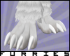 [F]Snow Lynx Paws(M)