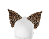 Leopard Ears Anim