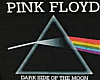 *D* Pink Floyd concert T