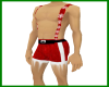 Sexy-Santa-Susp-n-Shorts