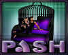 [PASH] PASH Nest Swing