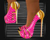 Dreamz Diva Pink Heels