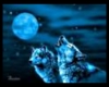 Blue Wolf Mate Art