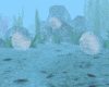 Animated Coral Reef