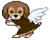 angel dog left