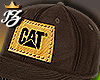 <BR> Cat Diesel CAP